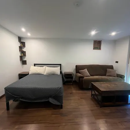 Apartment Quinto Pino Playa